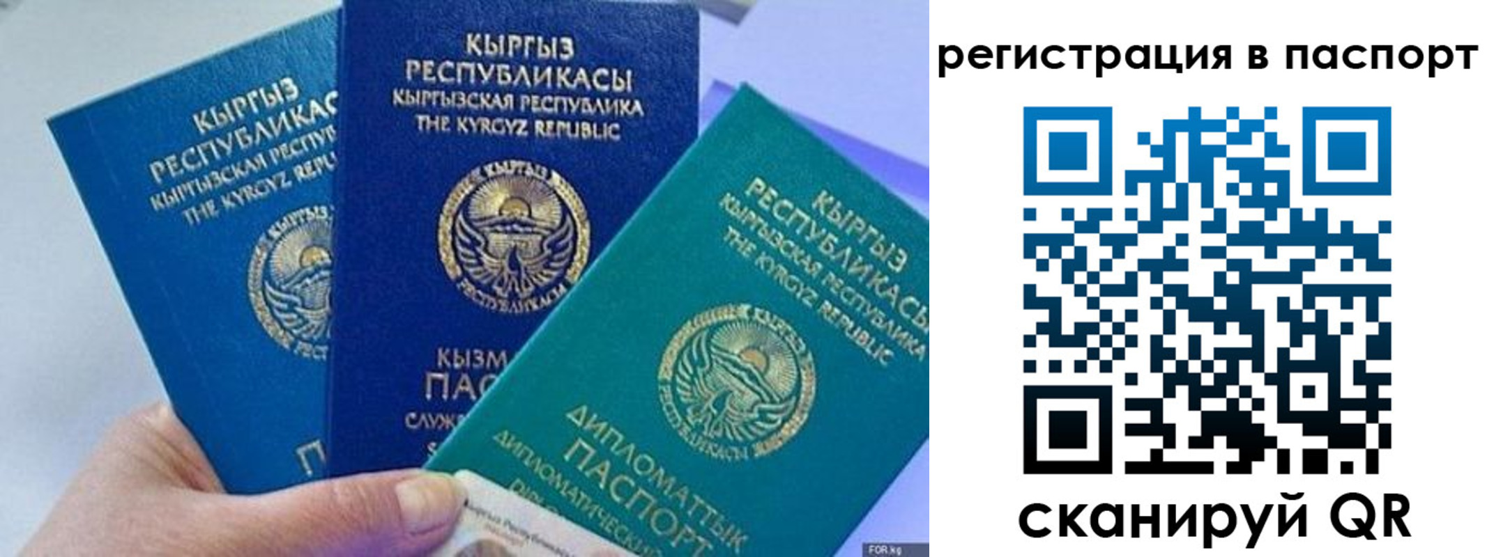 прописка 2025 в Батайске